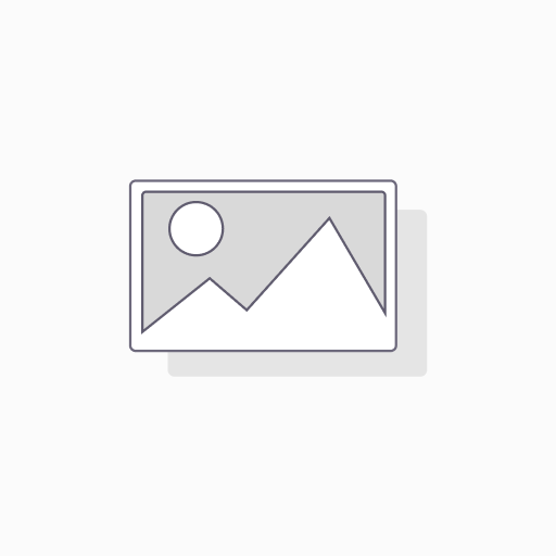 TCF/LEF(Mt)-TAR-Puro (Neg Ctrl)	